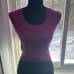 Express Fuchsia Knit Top